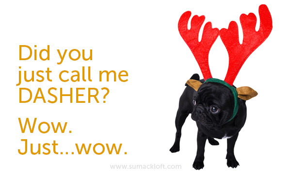 Ottawa Graphic Design - Sad Old Logo