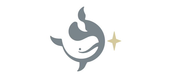 Award Winning Logo Design - North Star