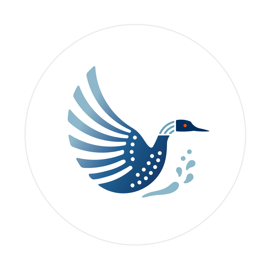 Logo design featuring loon in water
