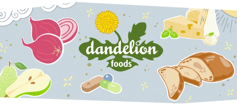 llustrated branding for Dandelion Foods, featuring a dandelion logo and organic food elements.