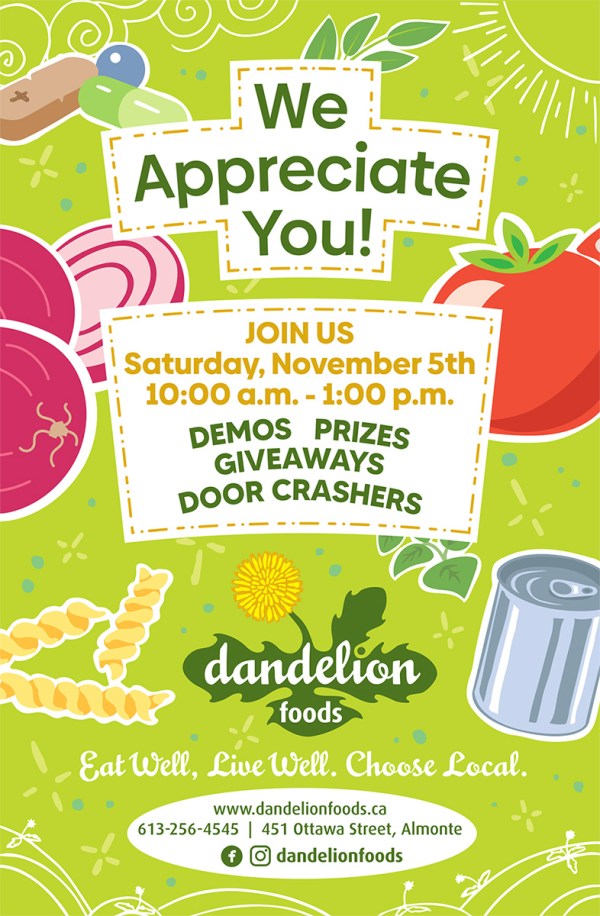 Colourful newspaper ad for Dandelion Foods, promoting a customer appreciation event with giveaways, demos, and prizes. Designed with vibrant illustrations and the brand’s signature style.