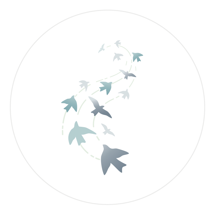 Logo design featuring stylized birds flying upwards with flight path lines