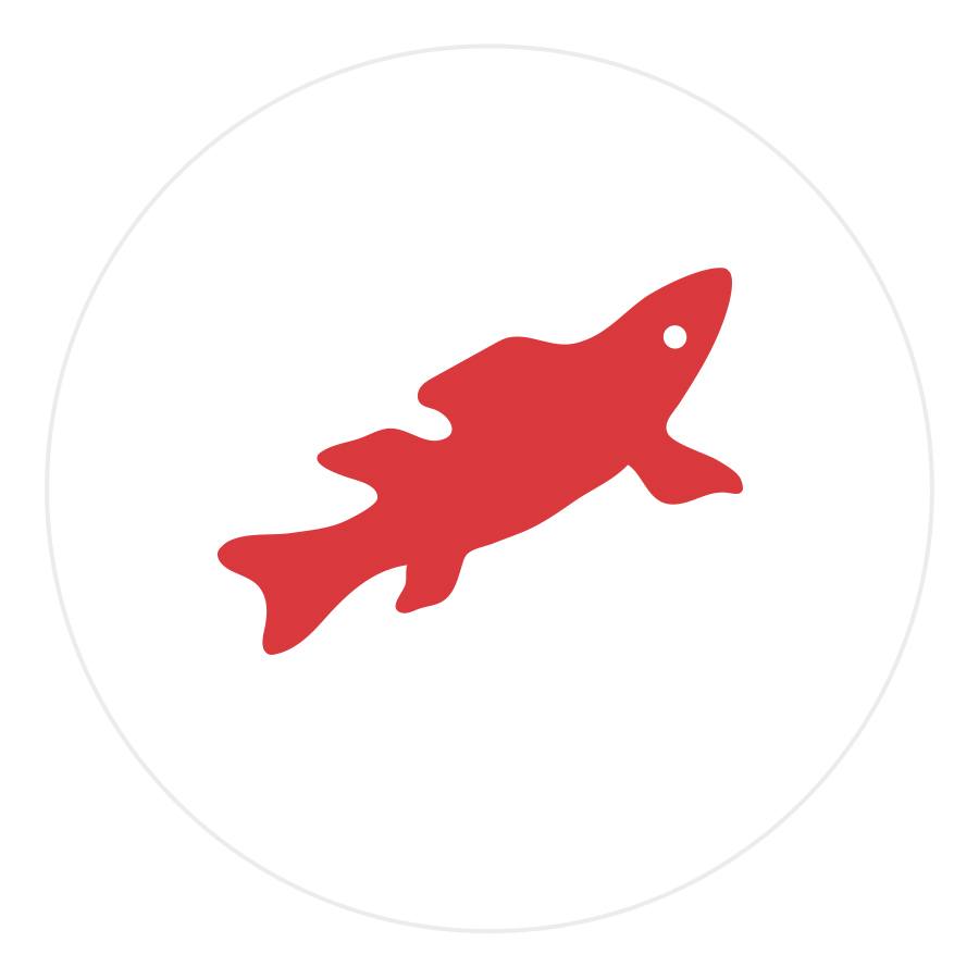 Logo design featuring red fish swimming upwards